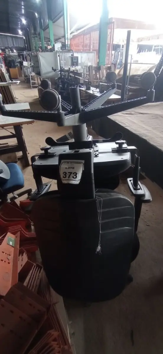 LOTE 373