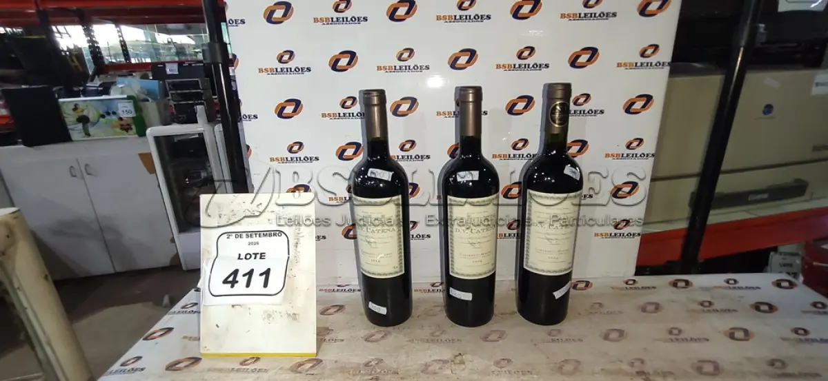 LOTE 411