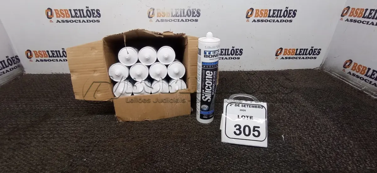 LOTE 305