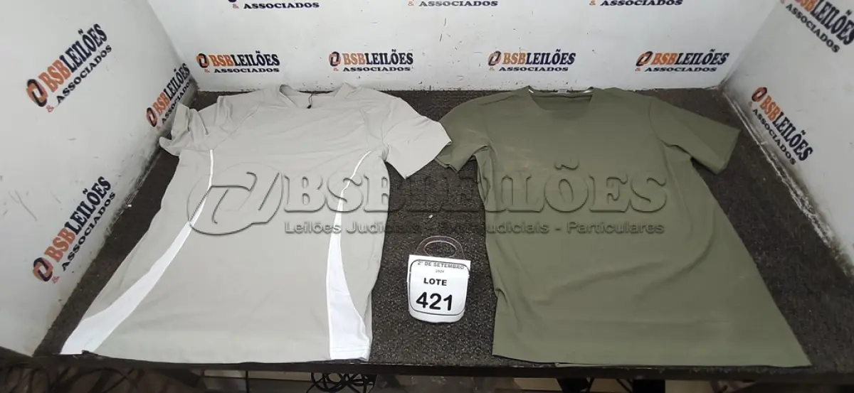 LOTE 421