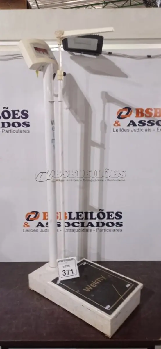 LOTE 371