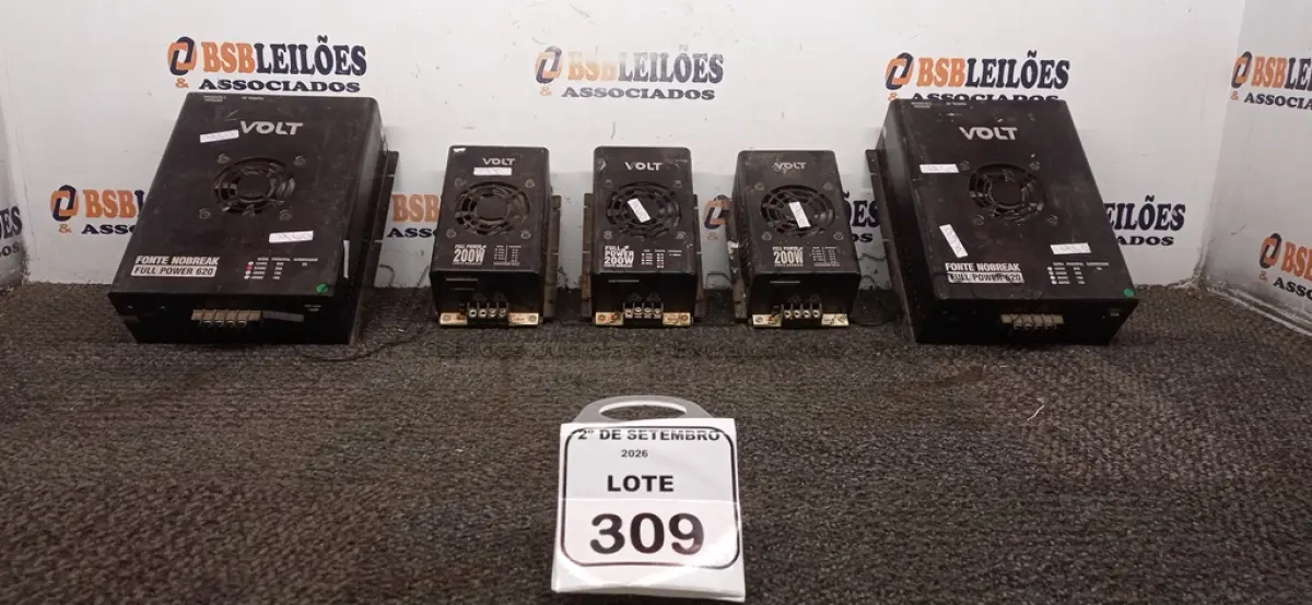 LOTE 309