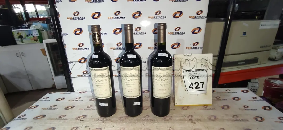 LOTE 427