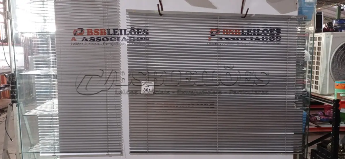 LOTE 301