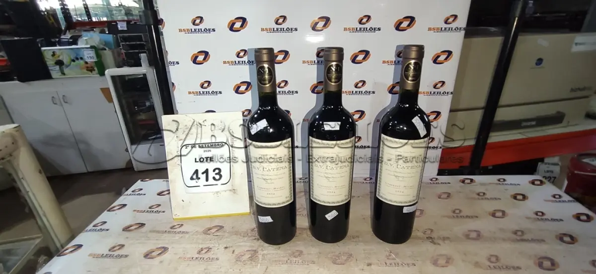 LOTE 413