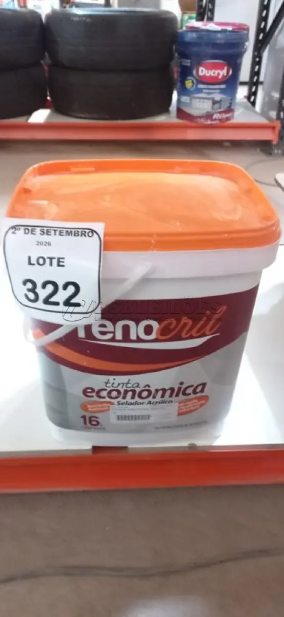 LOTE 322