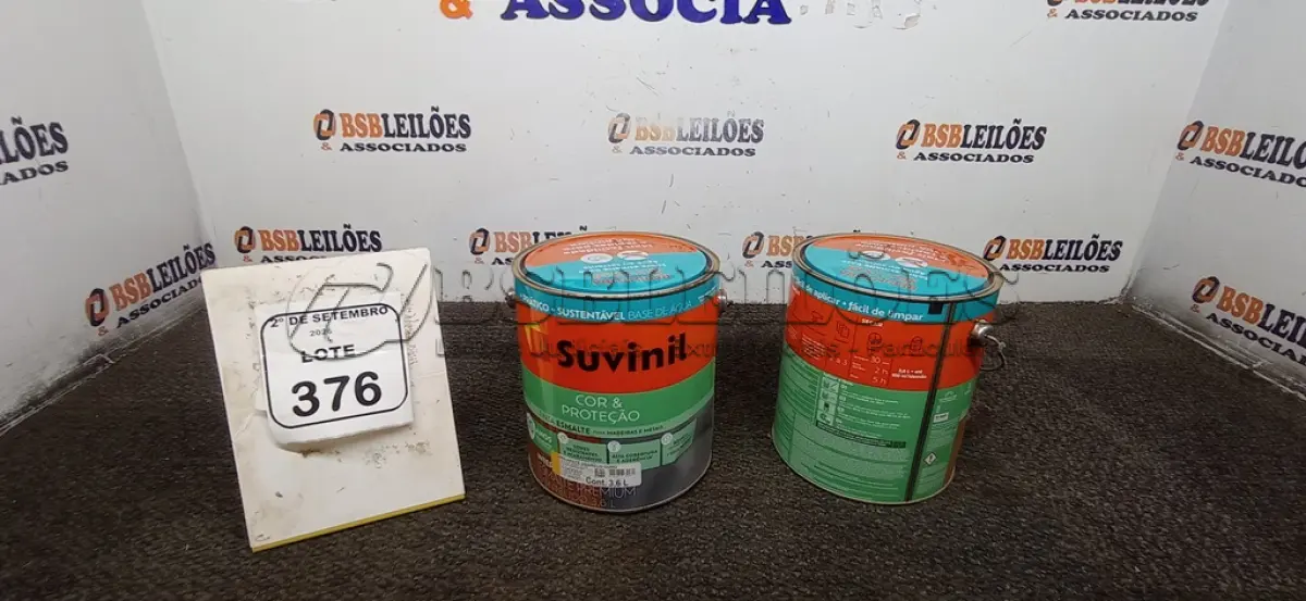 LOTE 376