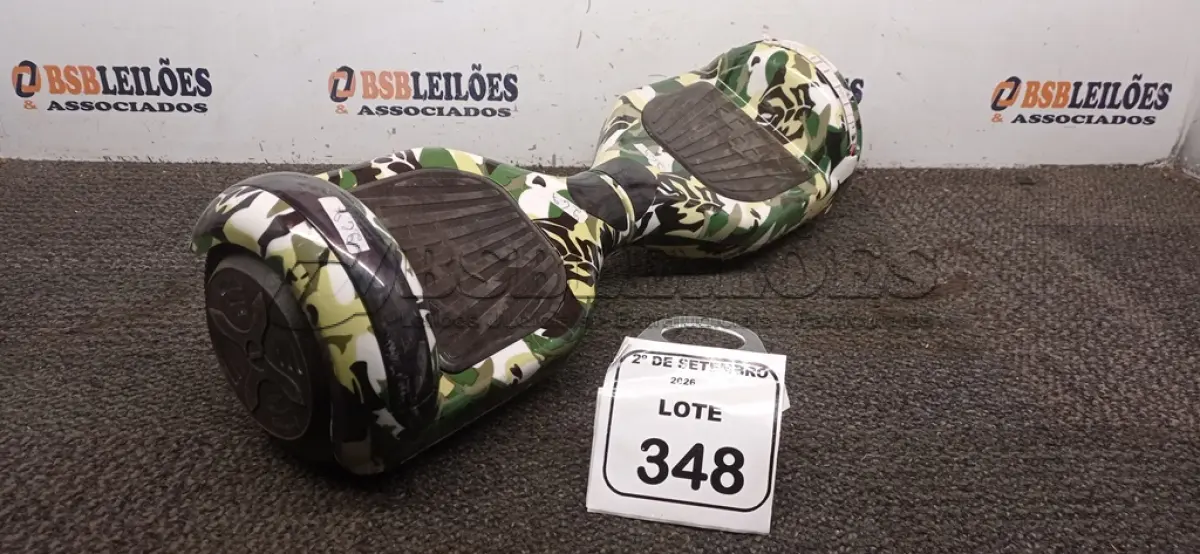 LOTE 348