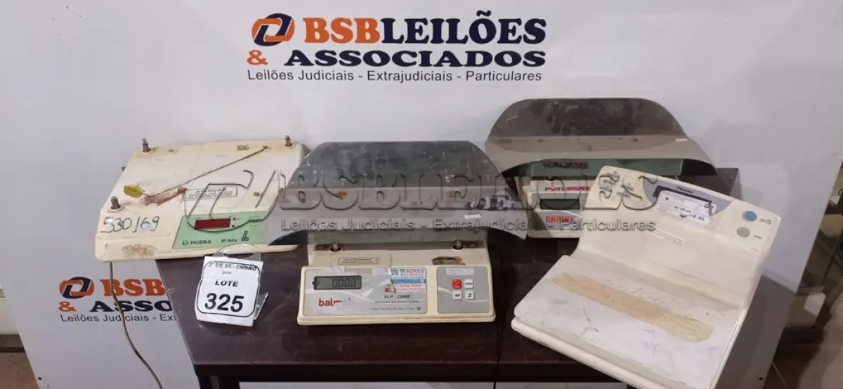 LOTE 325