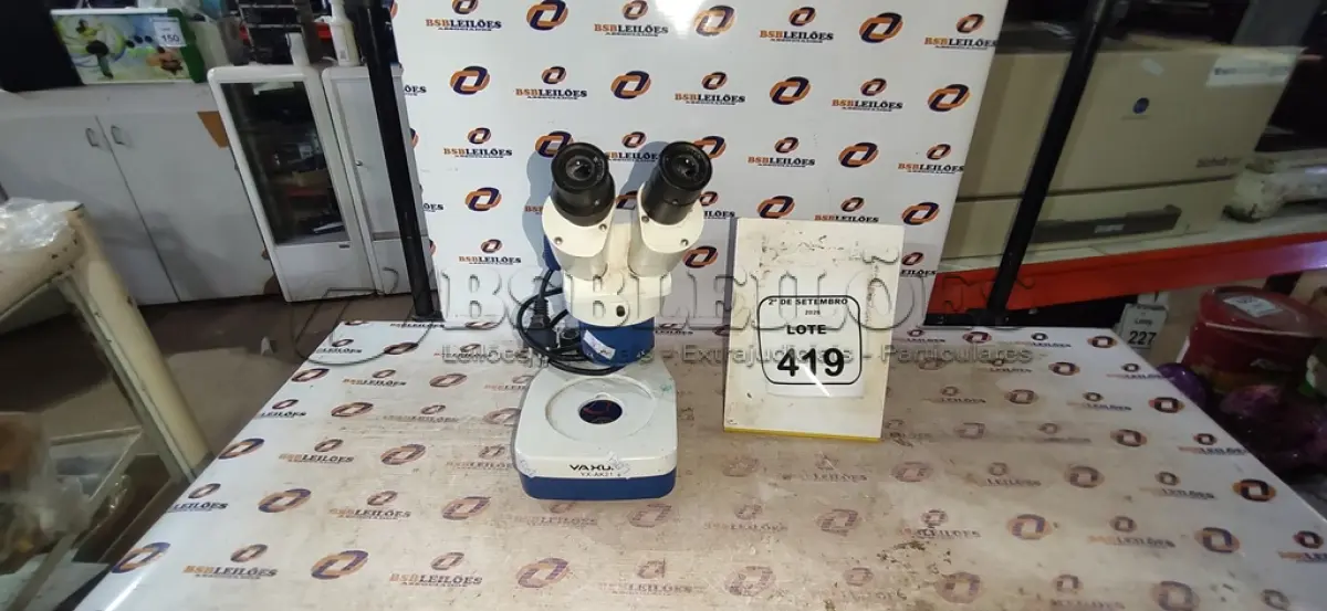 LOTE 419