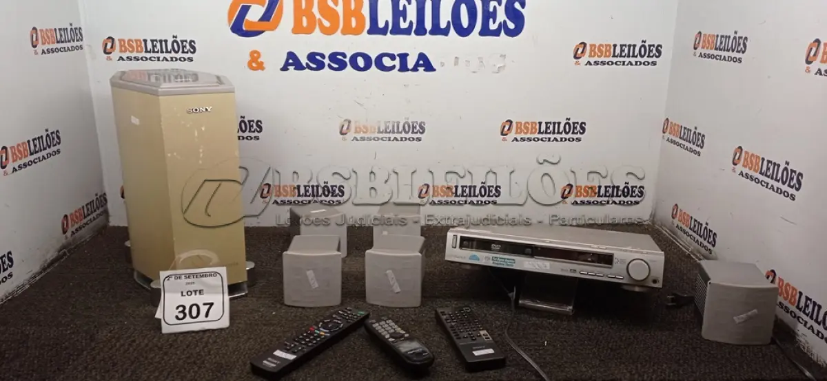 LOTE 307