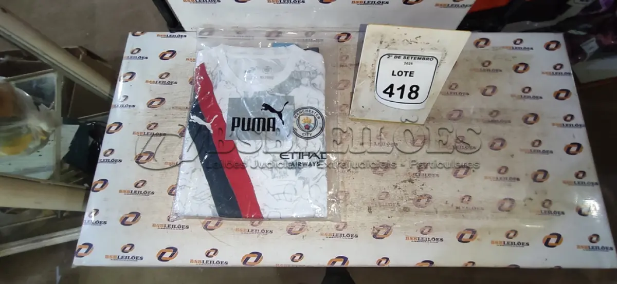 LOTE 418