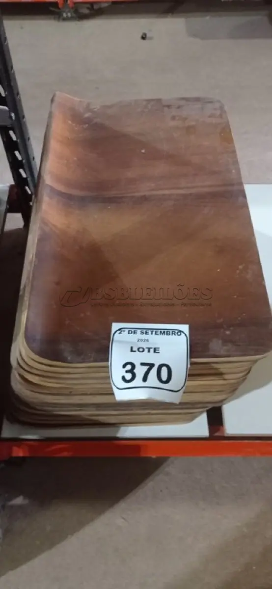LOTE 370