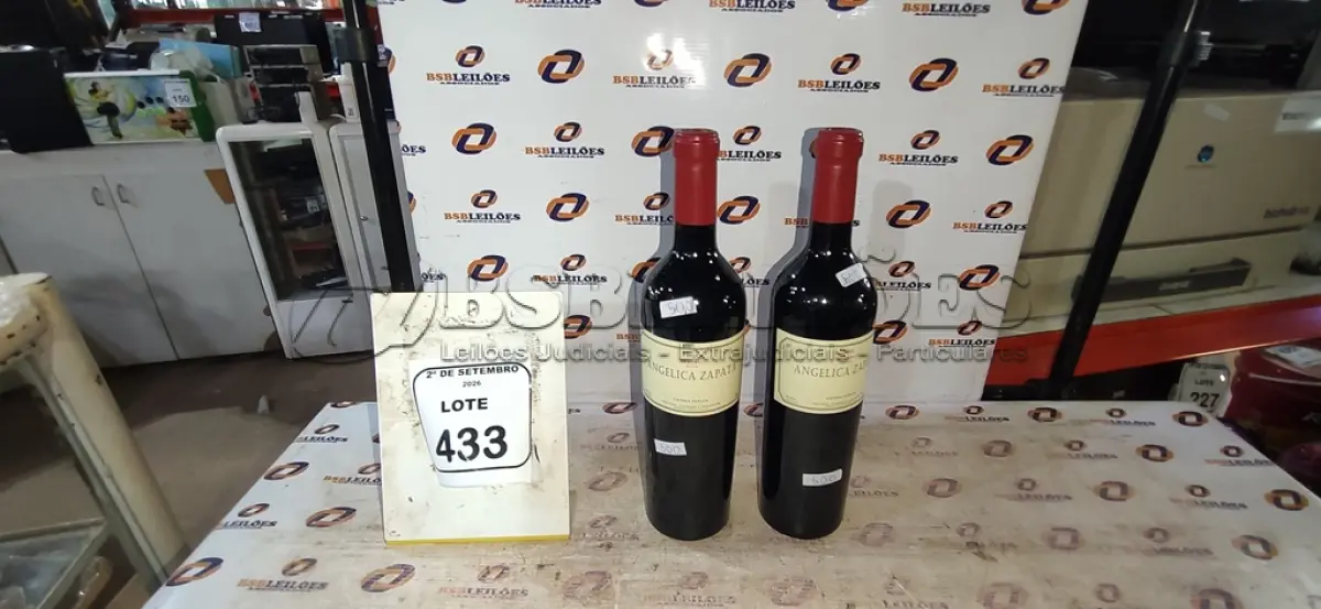 LOTE 433