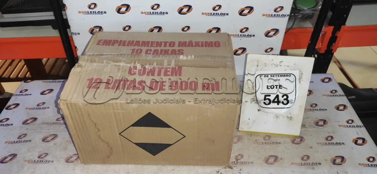 LOTE 543
