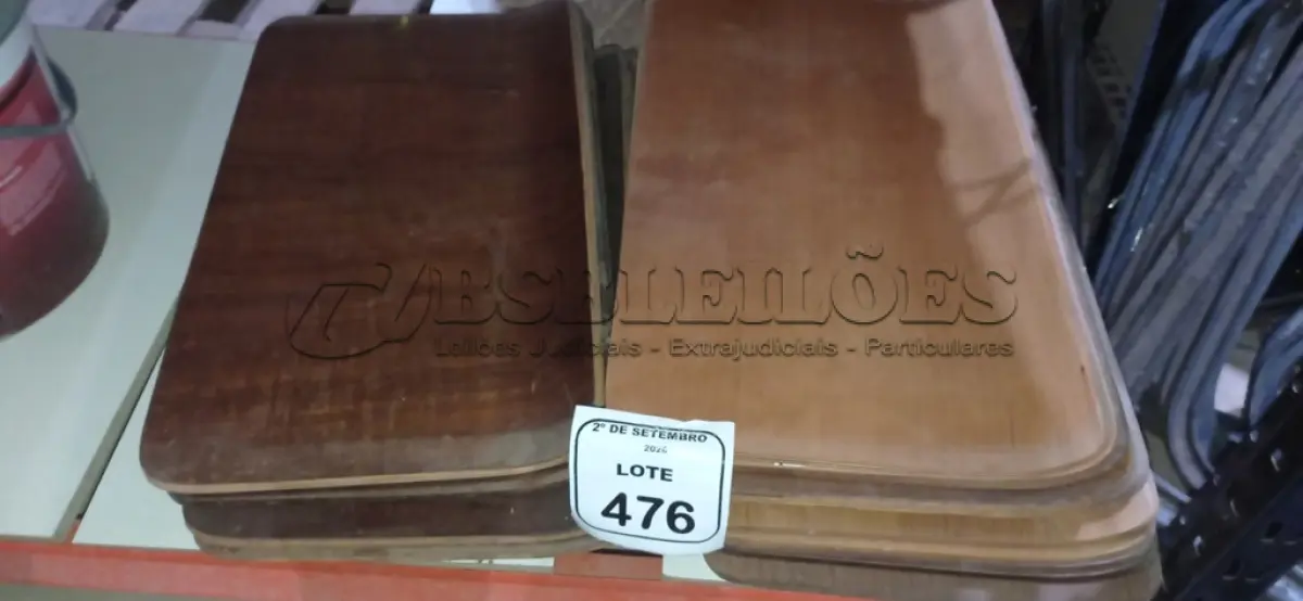 LOTE 476