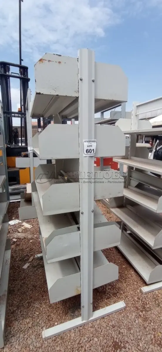 LOTE 601