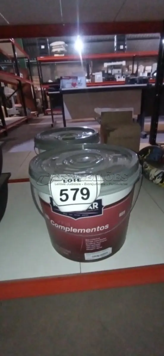 LOTE 579
