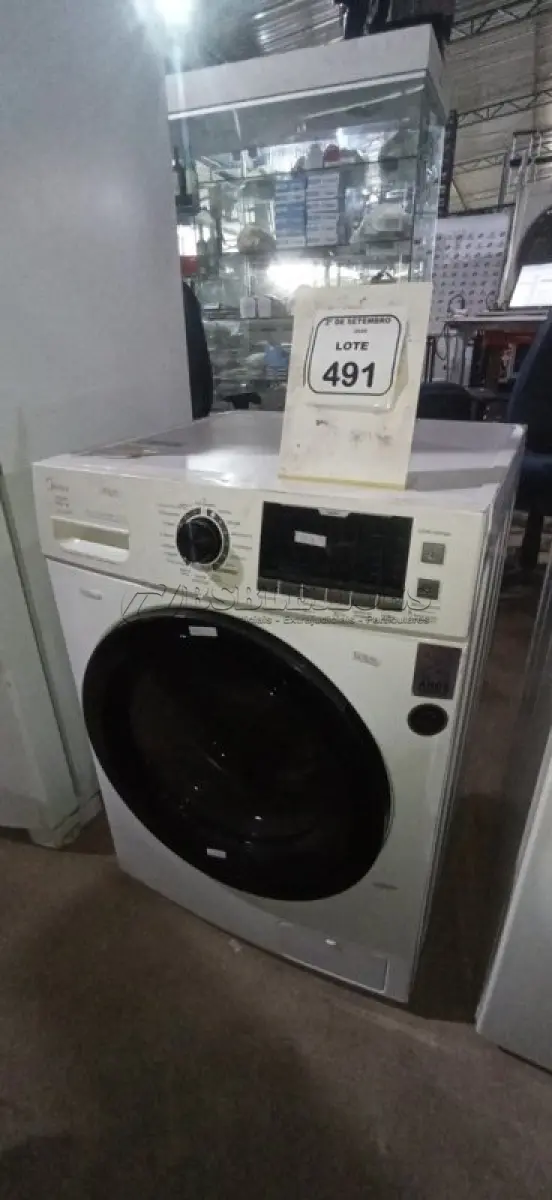 LOTE 491