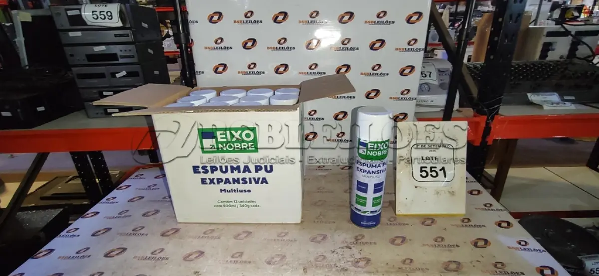 LOTE 551