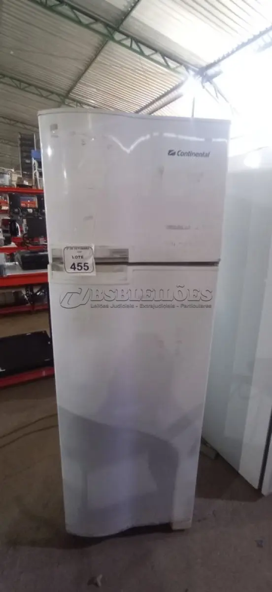 LOTE 455