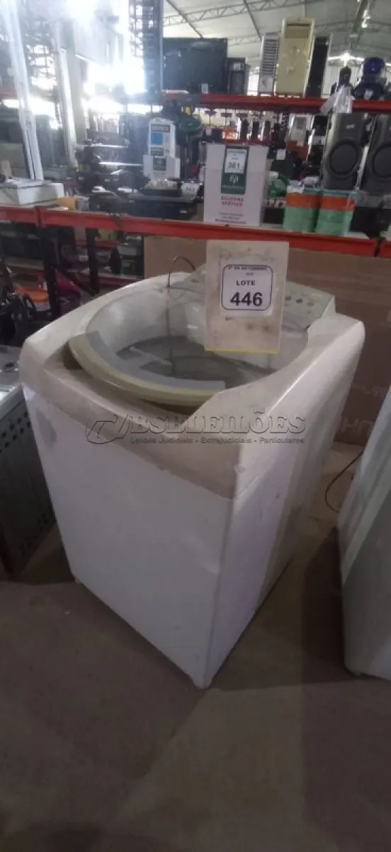 LOTE 446