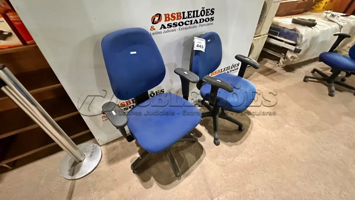 LOTE 443