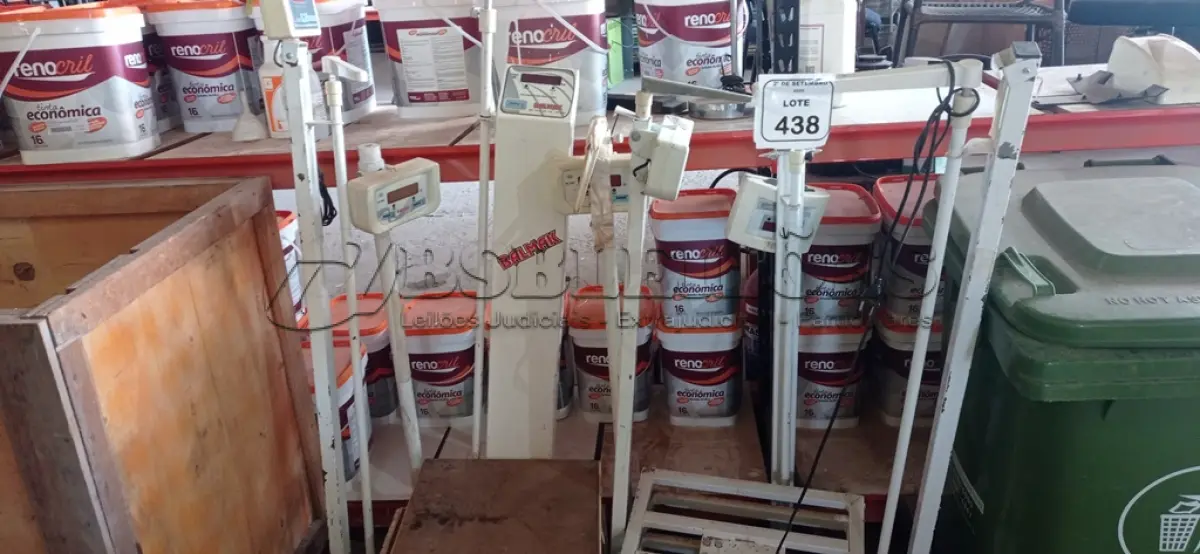 LOTE 438