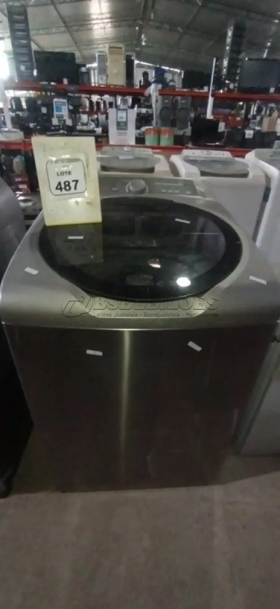 LOTE 487
