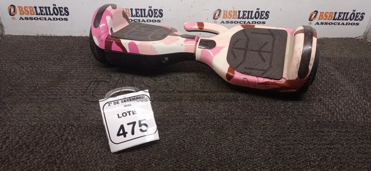 LOTE 475