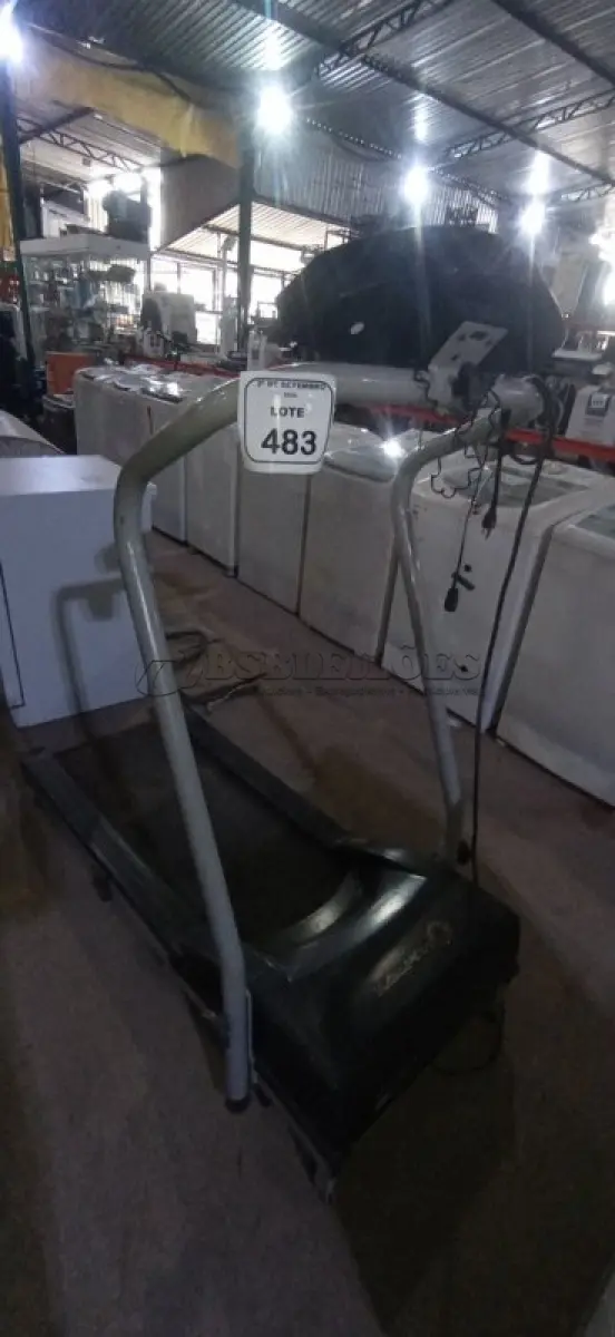 LOTE 483