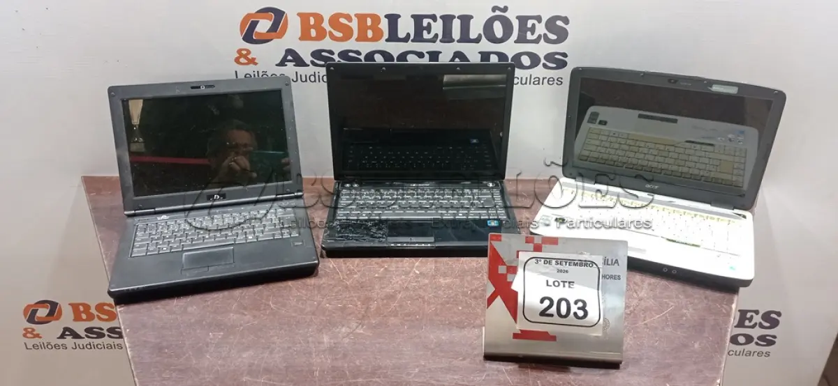 LOTE 203