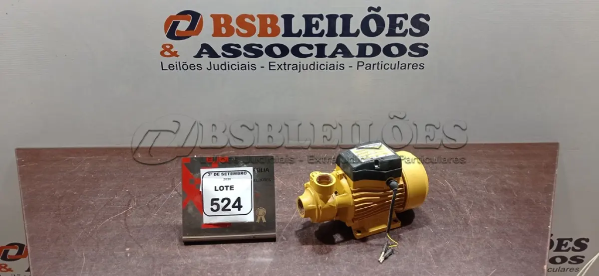 LOTE 524 - 01 BOMBA PERIFÉRICA ½ CV 60HZ MARCA FERTAK. (NO ESTADO) ATENÇÃO! FAZER A VISITAÇÃO ANTES DE ARREMATAR, NÃO SABEMOS SE FUNCIONA, LEILÃO NÃO TEM GARANTIA E NEM DEVOLUÇÃO, SUJEITO A POSSÍVEIS AVARIAS VISÍVEIS/OCULTAS E/OU AUSÊNCIA DE COMPONENTES.