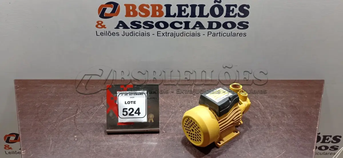 LOTE 524 - 01 BOMBA PERIFÉRICA ½ CV 60HZ MARCA FERTAK. (NO ESTADO) ATENÇÃO! FAZER A VISITAÇÃO ANTES DE ARREMATAR, NÃO SABEMOS SE FUNCIONA, LEILÃO NÃO TEM GARANTIA E NEM DEVOLUÇÃO, SUJEITO A POSSÍVEIS AVARIAS VISÍVEIS/OCULTAS E/OU AUSÊNCIA DE COMPONENTES.