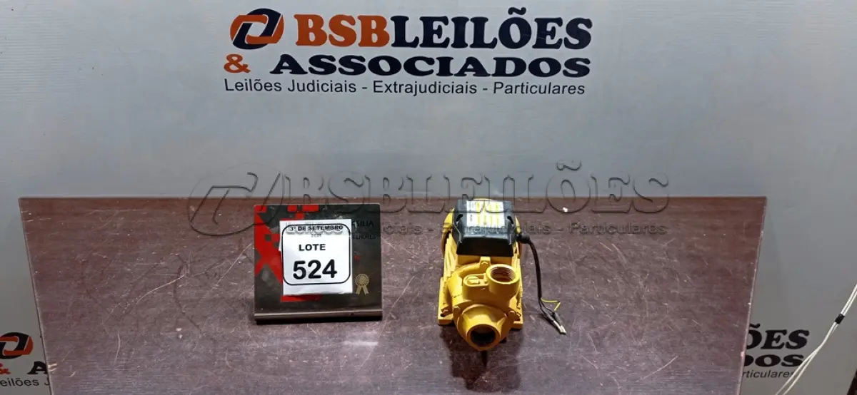 LOTE 524 - 01 BOMBA PERIFÉRICA ½ CV 60HZ MARCA FERTAK. (NO ESTADO) ATENÇÃO! FAZER A VISITAÇÃO ANTES DE ARREMATAR, NÃO SABEMOS SE FUNCIONA, LEILÃO NÃO TEM GARANTIA E NEM DEVOLUÇÃO, SUJEITO A POSSÍVEIS AVARIAS VISÍVEIS/OCULTAS E/OU AUSÊNCIA DE COMPONENTES.