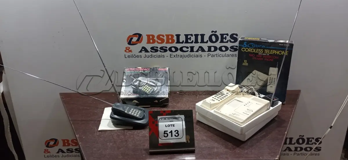 LOTE 513