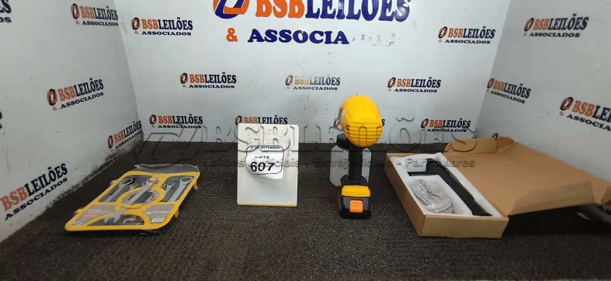 LOTE 607