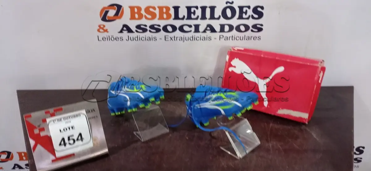 LOTE 454