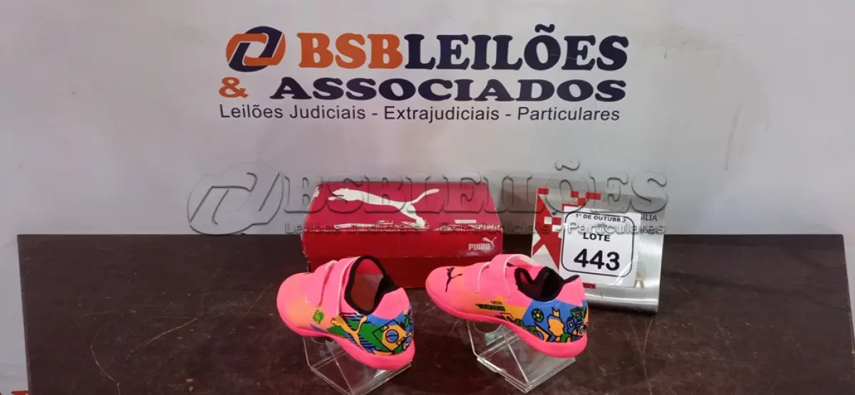 LOTE 443
