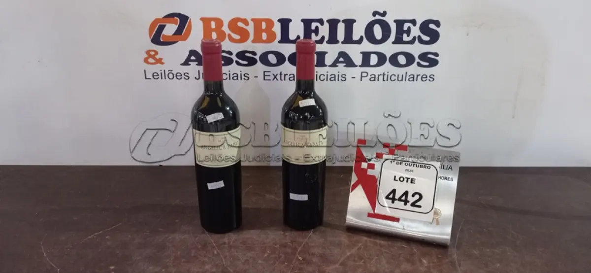 LOTE 442 - 02 GARRAFAS DE VINHO TINTO MALBEC ALTO ARGENTINO 2022 DE 750ML MARCA ANGÉLICA ZAPATA. (NO ESTADO) ATENÇÃO! FAZER A VISITAÇÃO ANTES DE ARREMATAR, NÃO SABEMOS SE FUNCIONA, LEILÃO NÃO TEM GARANTIA E NEM DEVOLUÇÃO, SUJEITO A POSSÍVEIS AVARIAS VISÍVEIS/OCULTAS E/OU AUSÊNCIA DE COMPONENTES.