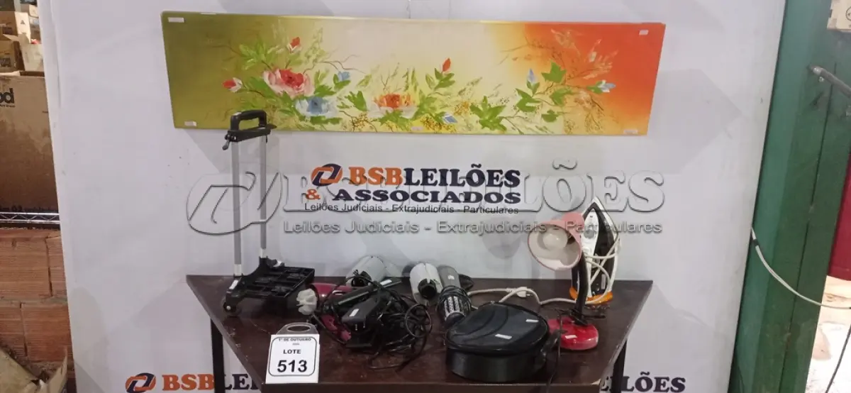 LOTE 513