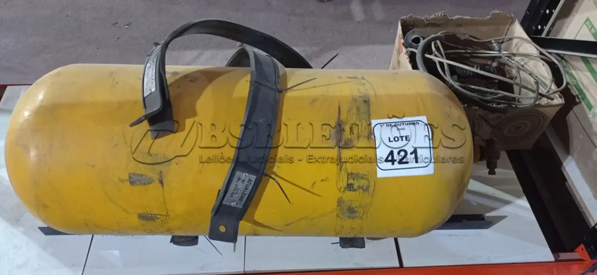 LOTE 421