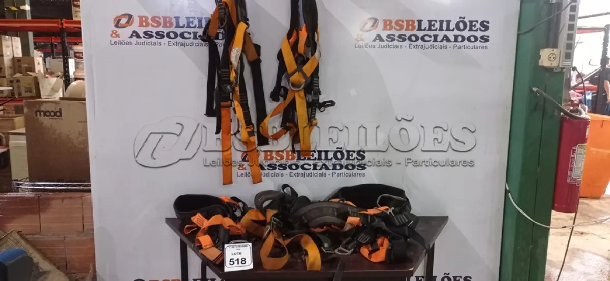 LOTE 518