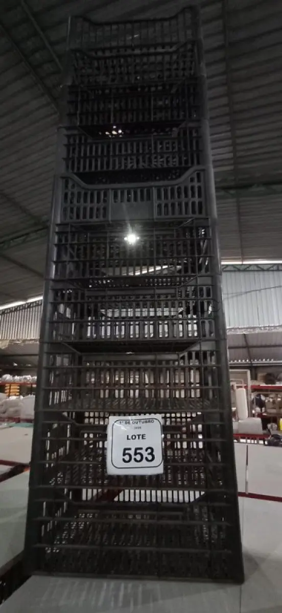 LOTE 553 - 10 CESTA ORGANIZADORAS. (NO ESTADO) ATENÇÃO! FAZER A VISITAÇÃO ANTES DE ARREMATAR, NÃO SABEMOS SE FUNCIONA, LEILÃO NÃO TEM GARANTIA E NEM DEVOLUÇÃO, SUJEITO A POSSÍVEIS AVARIAS VISÍVEIS/OCULTAS E/OU AUSÊNCIA DE COMPONENTES.