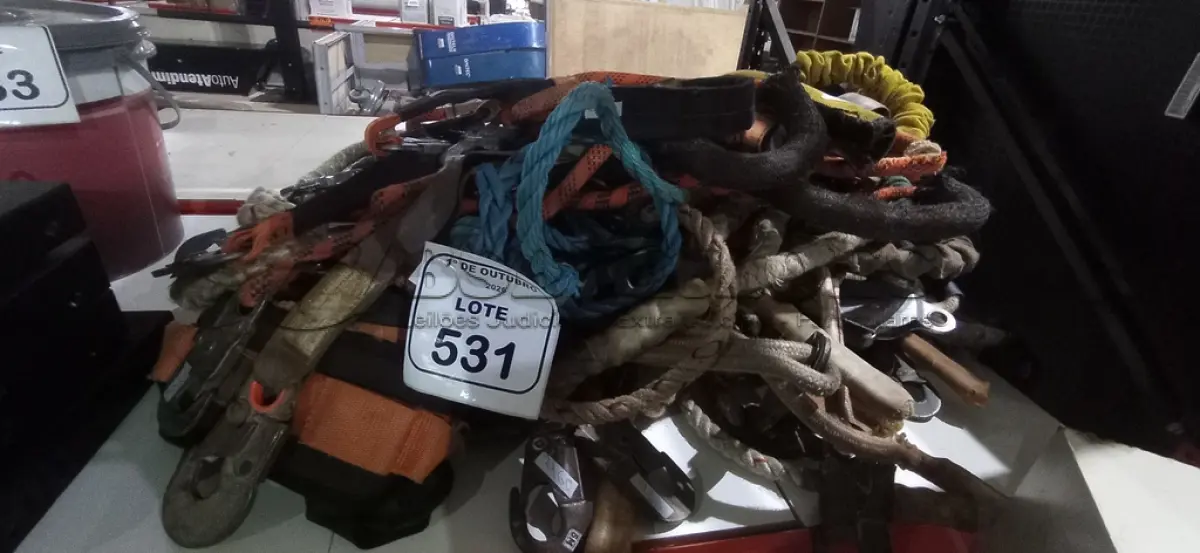 LOTE 531