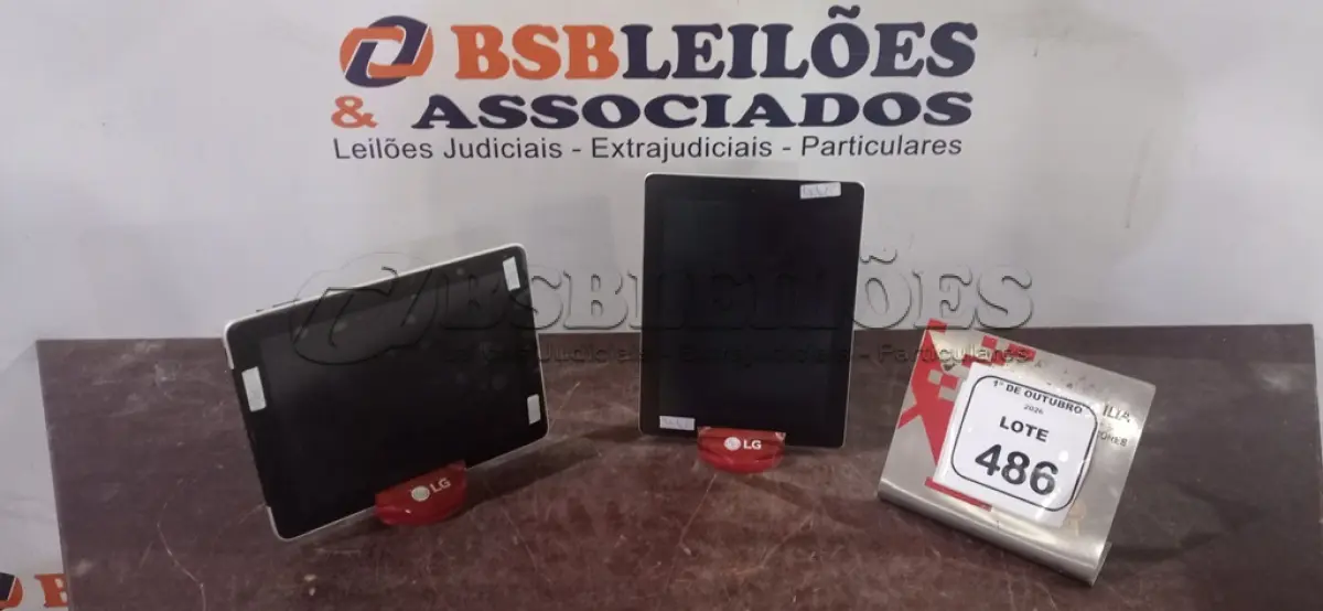 LOTE 486