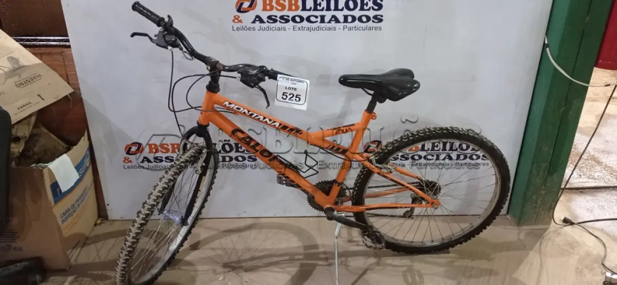 LOTE 525