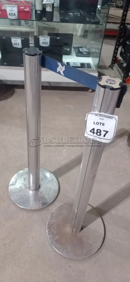 LOTE 487