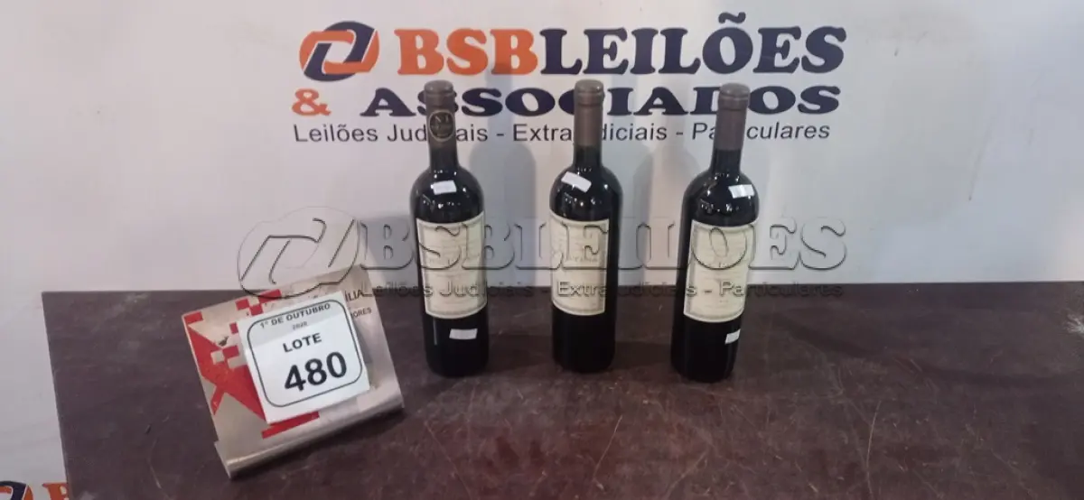LOTE 480