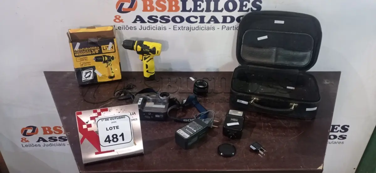 LOTE 481